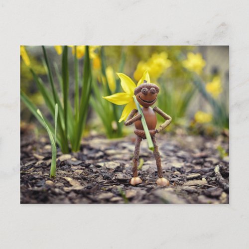 Acorn elf with daffodil flower spring postcard