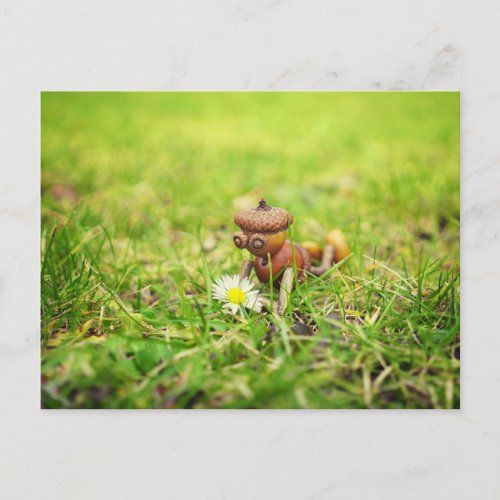 Acorn elf with daisy flower spring postcard