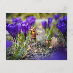 Acorn elf with purple crocus flower spring postcar postcard