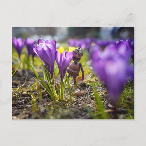 Acorn elf with purple crocus flower spring postcard