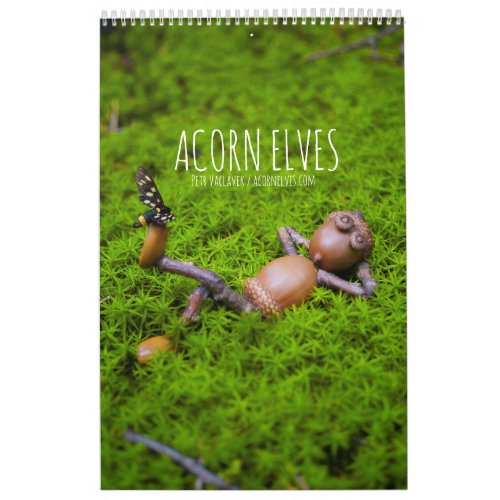 Acorn Elves  Dubanci photo calendar