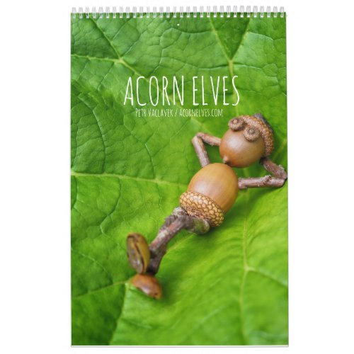 Acorn Elves  Dubanci photo calendar