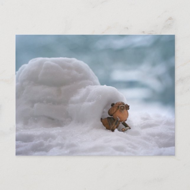 Acorn elves playing with the snow winter postcard (Front)