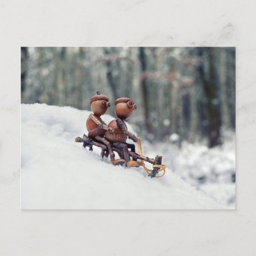 Acorn elves ride on sleigh winter postcard