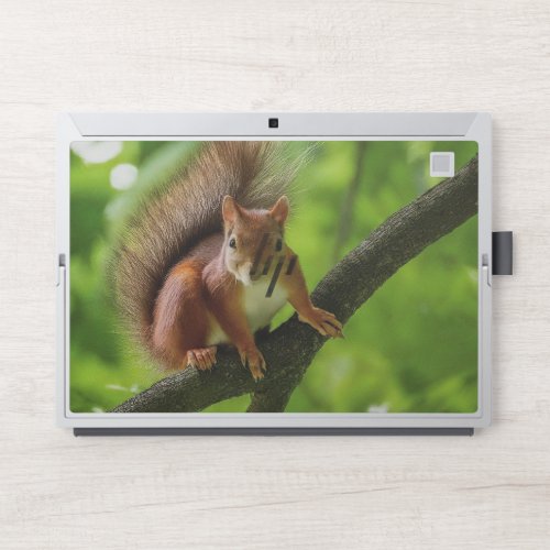 Acorn Eyes A Curious Forest Squirrel HP Laptop Skin
