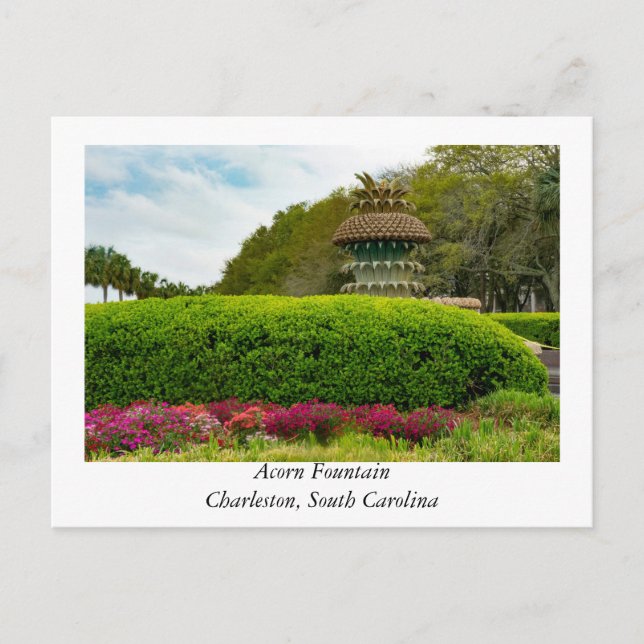 Acorn Fountain at Charleston South Carolina Postcard (Front)