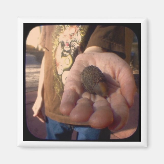 acorn? magnet (Front)