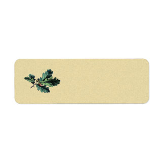 acorn oak vintage label