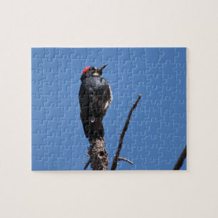 Acorn Woodpecker at Chiricahua National Monument Jigsaw Puzzle