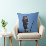 Acorn Woodpecker at Chiricahua National Monument Throw Pillow
