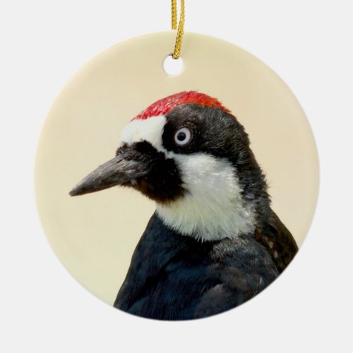 Acorn Woodpecker Portrait Ceramic Ornament