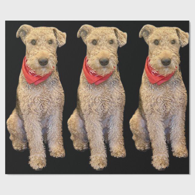 Acorn Wrapping Paper - Black (Flat)