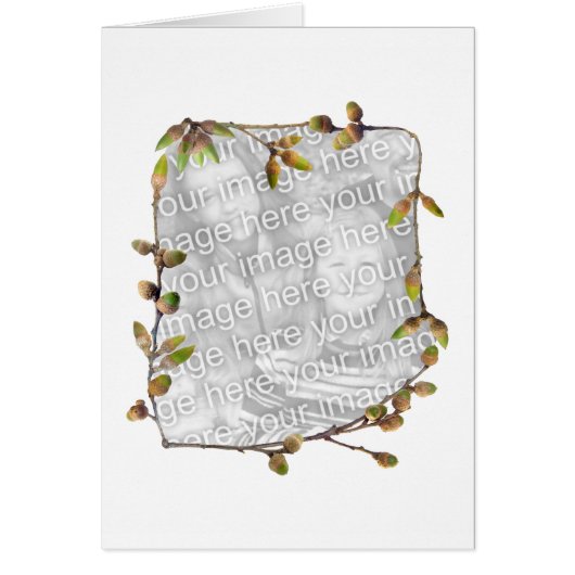 Acorns Photo Card (Front)