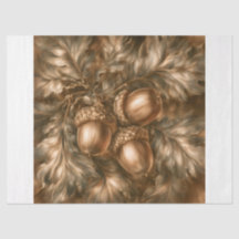 Acorns
