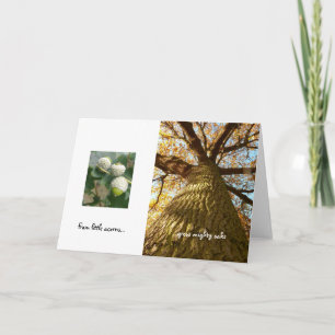Acorns to Oaks Card