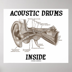 Acoustic Drums Inside (Anatomy Of Human Ear) Poster