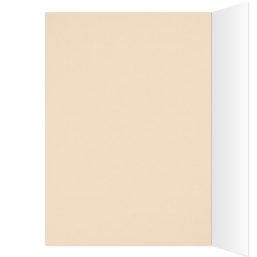 Acoustic Guitar Perspective Colors of Music (Inside (Left))