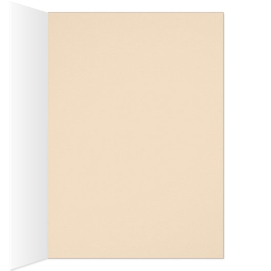 Acoustic Guitar Perspective Colors of Music (Inside (Right))