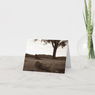 Acoustic Guitar Posing Card