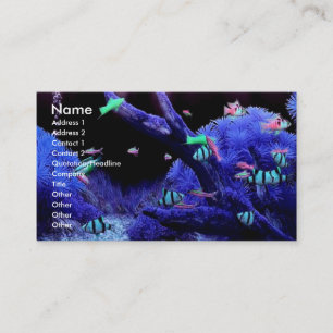 Acquarium Profile Card