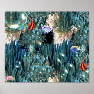 Acquatic Life Poster