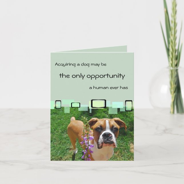 Acquiring A Dog May Be The Only Opportunity Card (Front)