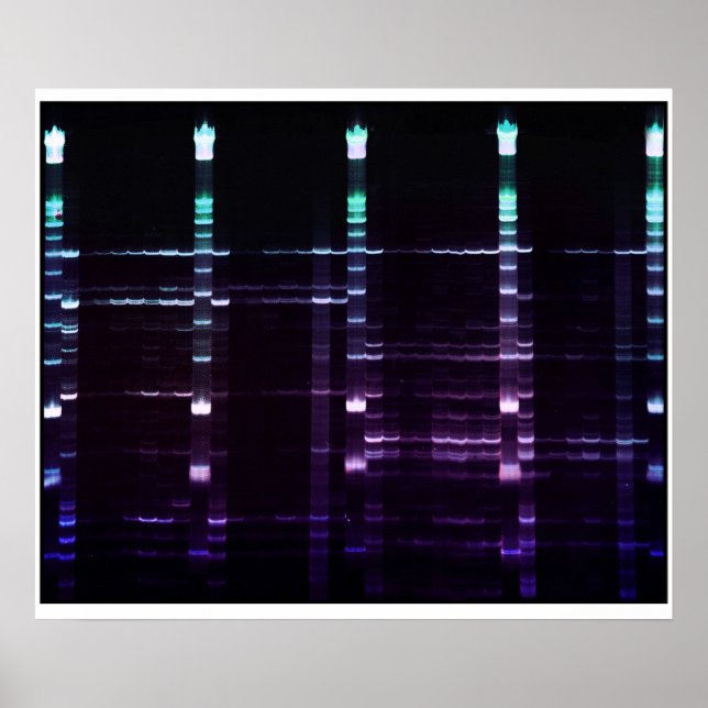 ACR Gel - 2 Poster (Front)