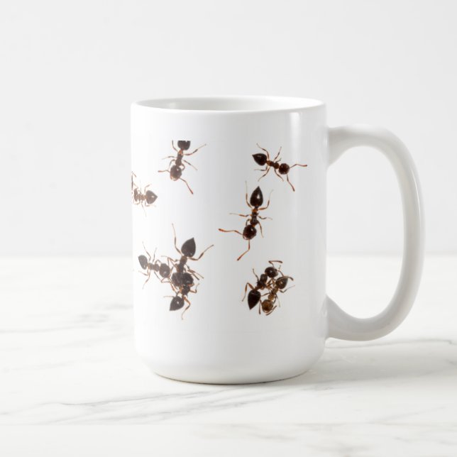 Acrobat Ants Mug (Right)
