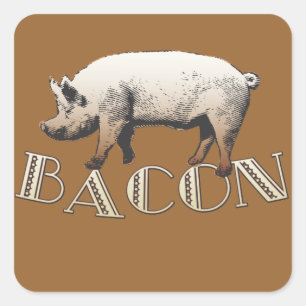 Acrobat BACON Pig Square Sticker