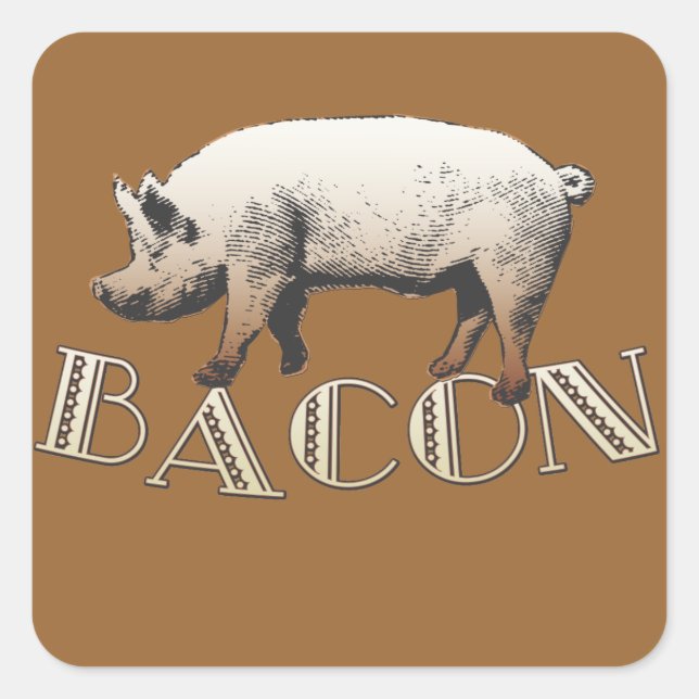 Acrobat BACON Pig Square Sticker (Front)