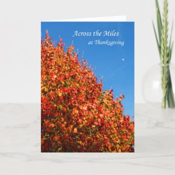 Across The Miles At Thanksgiving Card by KathyHenis at Zazzle