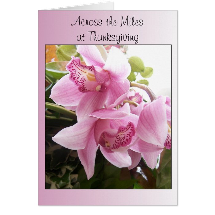 Across The Miles Thanksgiving Card Pink Orchids