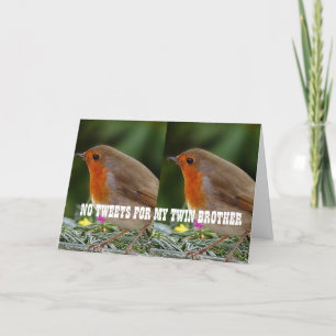 ACROSS THE MILES TO *TWIN BROTHER* BIRTHDAY CARD