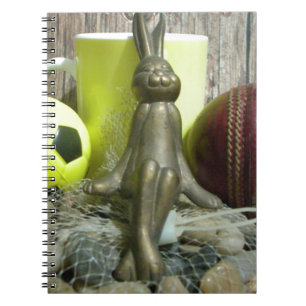 Across the Pitch & Crease: Football Cricket Blend Notebook