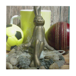 Across the Pitch & Crease: Football Cricket Blend Tile