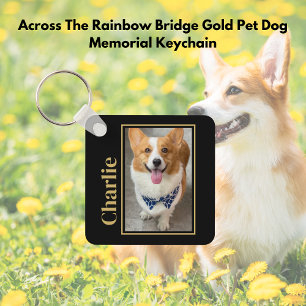 Across The Rainbow Bridge Gold Pet Dog Memorial Keychain
