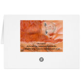 Acroyali Greek Mermaid Card (Back Horizontal)