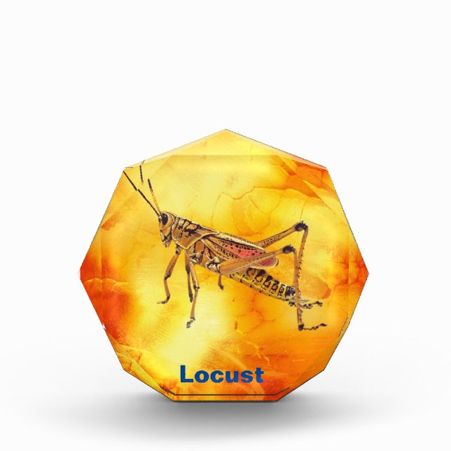 Acrylic Award (Front)