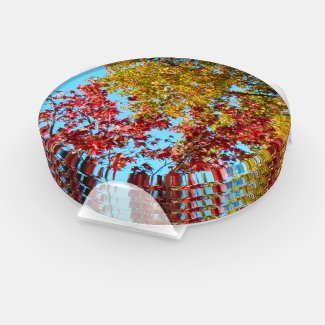 Acrylic Coasters - Fall Leaves