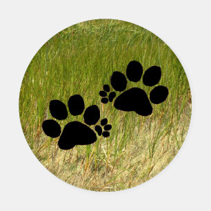 Acrylic Coasters - Polydactyl Prints in Grass