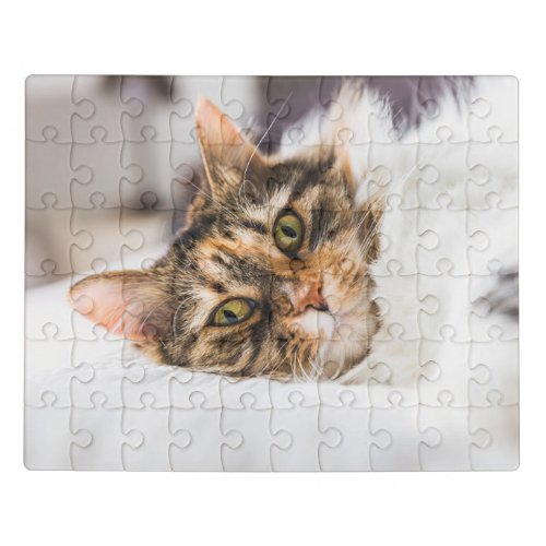 Acrylic cute cat puzzle