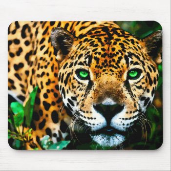 Acrylic Jaguar  Wildlife Art Mouse Pad by BOLO_DESIGNS at Zazzle