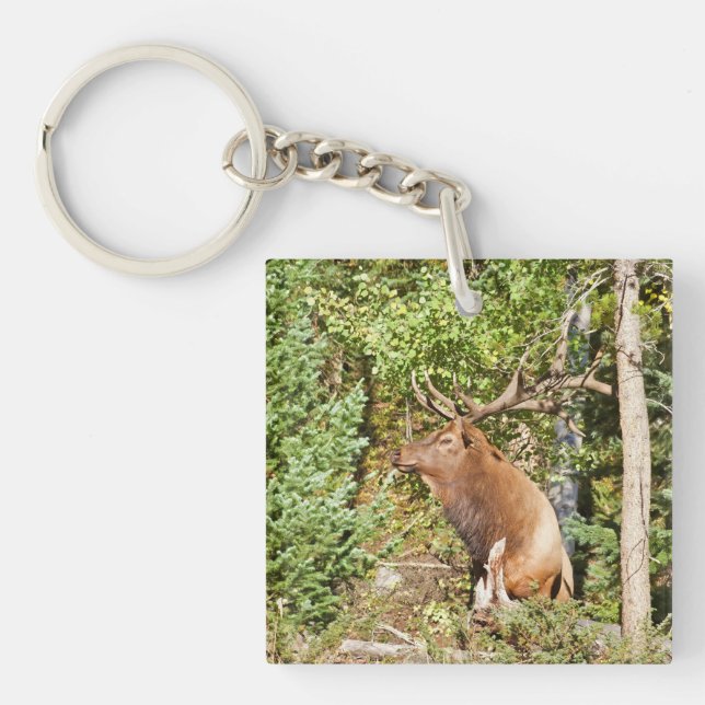 Acrylic Keychain (Front)