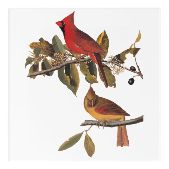 Acrylic Keychain Acrylic Print (Front)