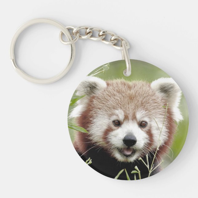 Acrylic keychain. Photo red panda, panda roux. Keychain (Front)