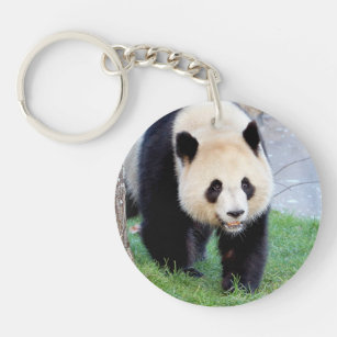 Acrylic keychain. Photogiant panda, panda geant. Keychain