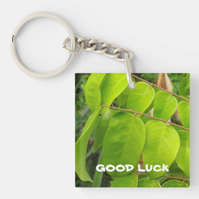 Acrylic Keychain with nature (Front)