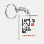Ladybird  Room  Acrylic Keychains