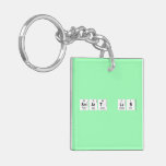 SMART LAB  Acrylic Keychains