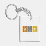 Caimn  Acrylic Keychains